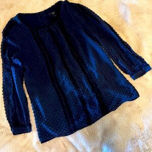 J. Crew Blue Blouse with Ruffled Sleeves and Mandarin Collar